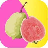 叮当影视最新安卓版