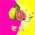 香妃直播播放器下载入口