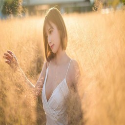 舒淇玉女心经：无删减版的艺术魅力与文化影响